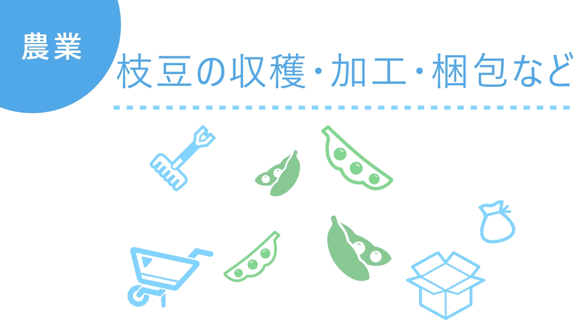 枝豆のアイキャッチ画像